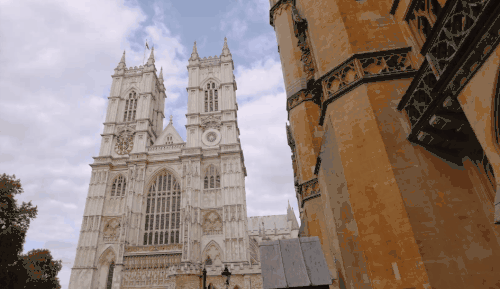 2.gif 2.gif