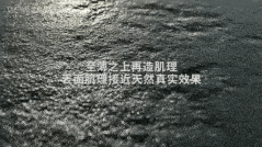 6.gif 6.gif