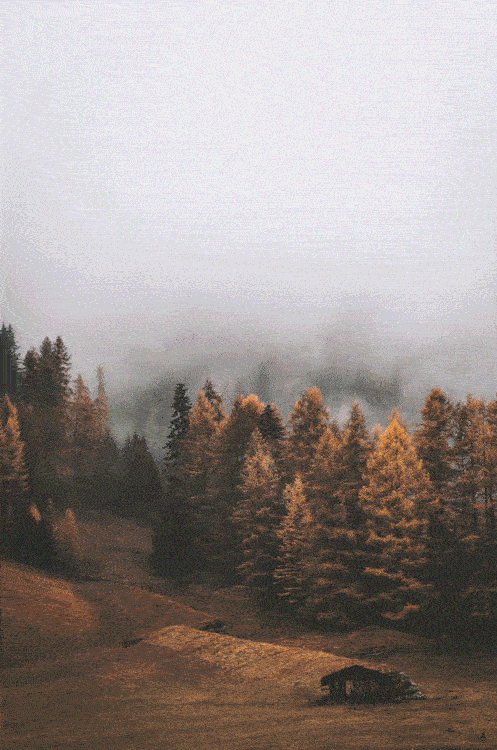 23.gif